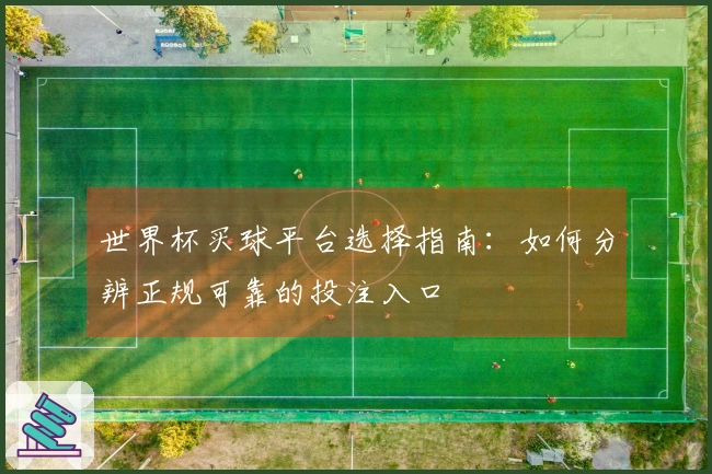 世界杯买球平台选择指南：如何分辨正规可靠的投注入口