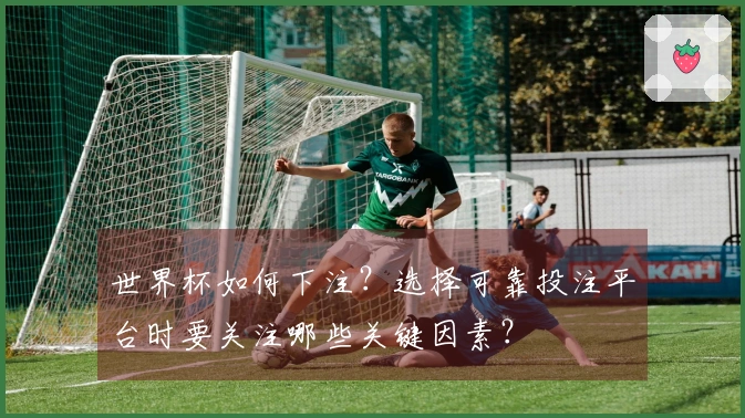 世界杯如何下注？选择可靠投注平台时要关注哪些关键因素？