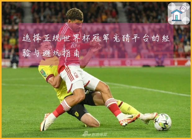 选择正规世界杯冠军竞猜平台的经验与避坑指南