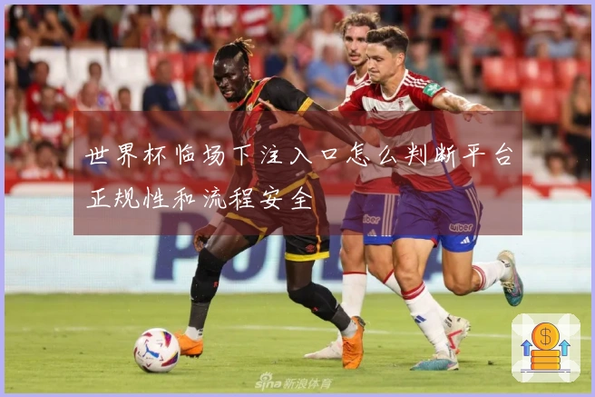 世界杯临场下注入口怎么判断平台正规性和流程安全