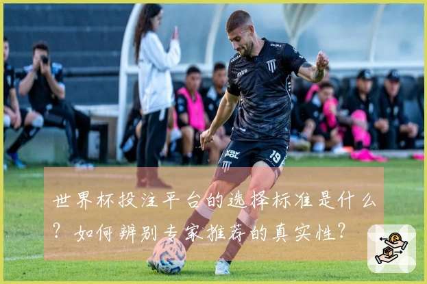 世界杯投注平台的选择标准是什么？如何辨别专家推荐的真实性？