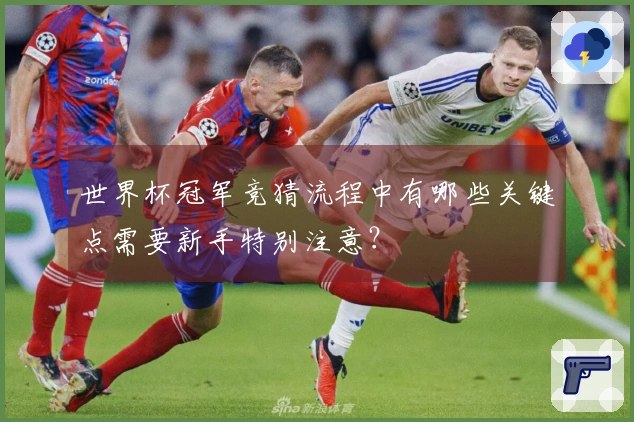世界杯冠军竞猜流程中有哪些关键点需要新手特别注意？