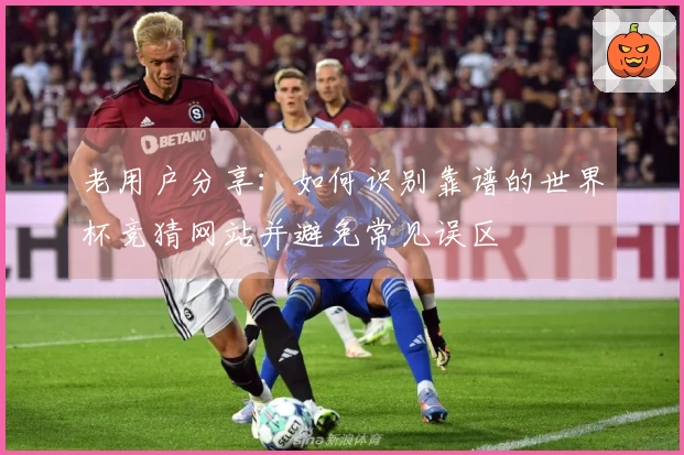 老用户分享：如何识别靠谱的世界杯竞猜网站并避免常见误区