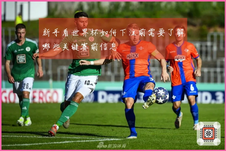 新手看世界杯如何下注前需要了解哪些关键赛前信息
