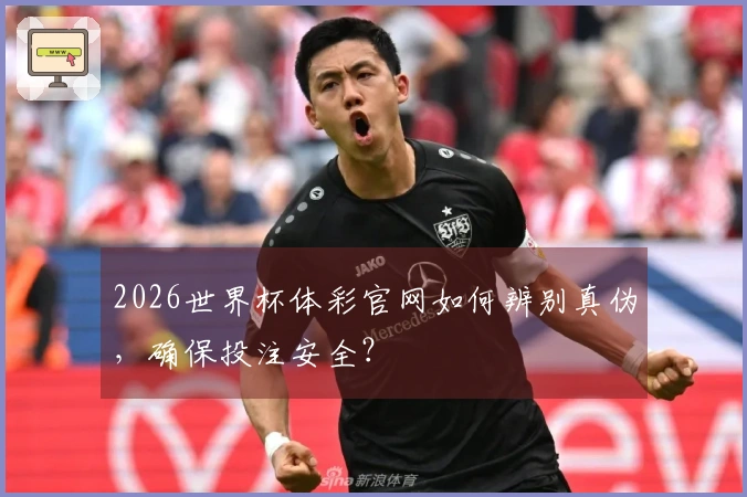 2026世界杯体彩官网如何辨别真伪，确保投注安全？