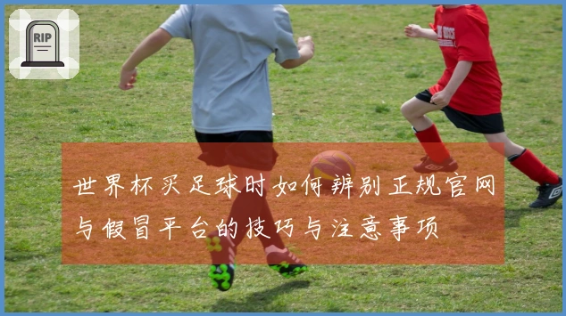 世界杯买足球时如何辨别正规官网与假冒平台的技巧与注意事项