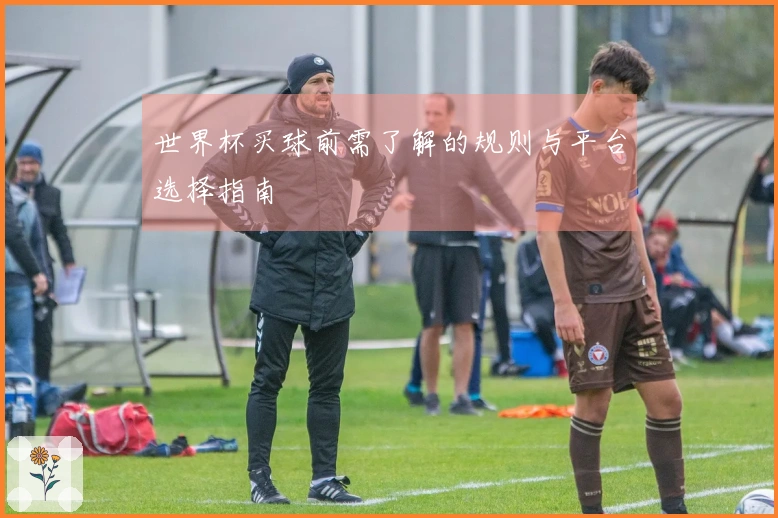 世界杯买球前需了解的规则与平台选择指南