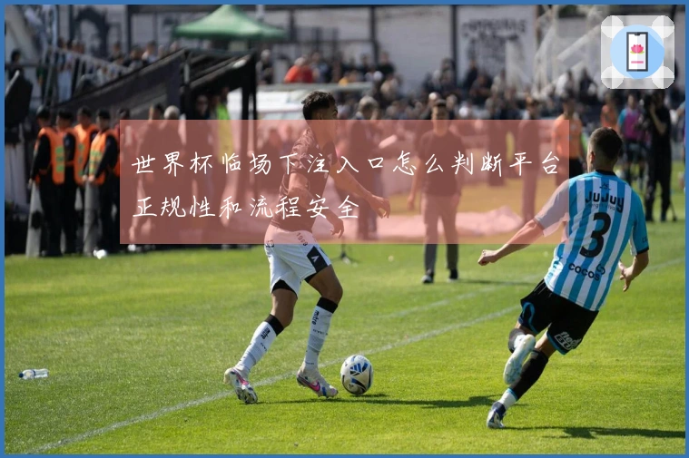 世界杯临场下注入口怎么判断平台正规性和流程安全