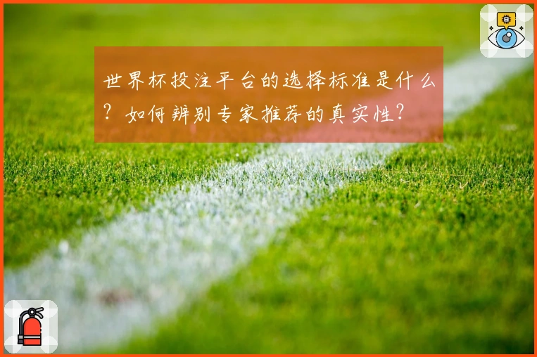 世界杯投注平台的选择标准是什么？如何辨别专家推荐的真实性？