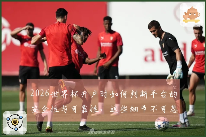 2026世界杯开户时如何判断平台的安全性与可靠性，这些细节不可忽视