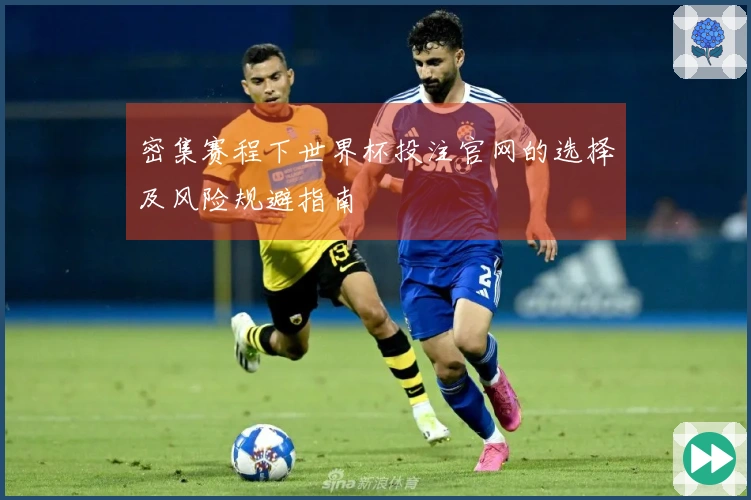 密集赛程下世界杯投注官网的选择及风险规避指南