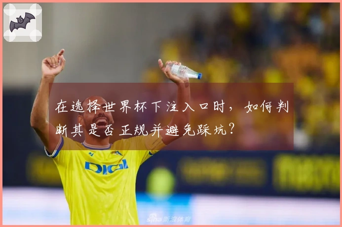 在选择世界杯下注入口时，如何判断其是否正规并避免踩坑？