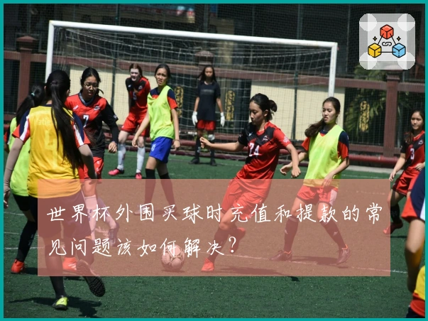 世界杯外围买球时充值和提款的常见问题该如何解决？
