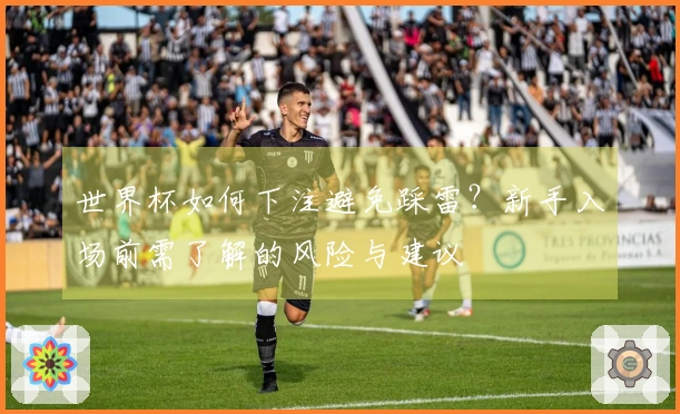 世界杯如何下注避免踩雷？新手入场前需了解的风险与建议