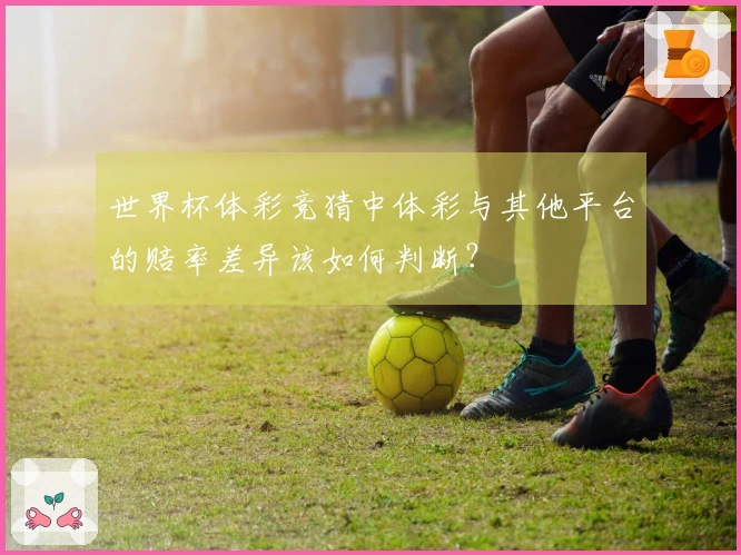 世界杯体彩竞猜中体彩与其他平台的赔率差异该如何判断？