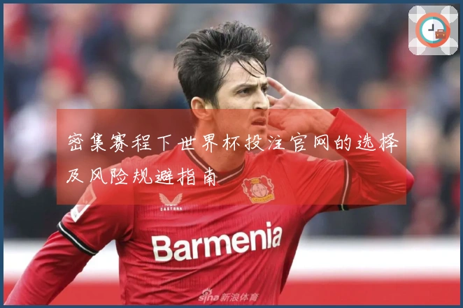 密集赛程下世界杯投注官网的选择及风险规避指南