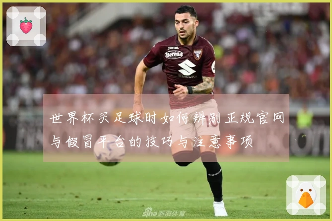世界杯买足球时如何辨别正规官网与假冒平台的技巧与注意事项