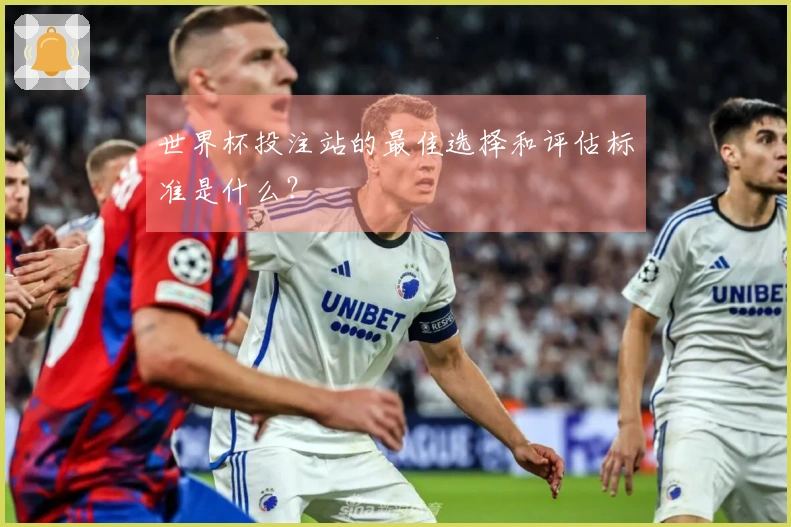世界杯投注站的最佳选择和评估标准是什么？